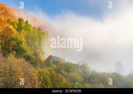Im Herbst hügeliges Ferienhaus, das in Nebel gehüllt ist Vivid Herbstblätter schmücken den Berg, während sich Wolken einschleichen. Gemütlicher Zufluchtsort. Nordwestlich der Slowakei, Europ Stockfoto