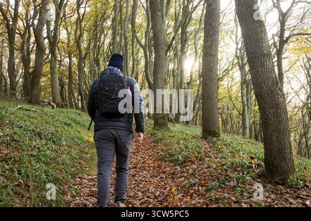 Der Mensch wandert in einem wunderschönen Wald mit Sonnenstrahlen durch die Bäume und Blätter auf dem Boden, die die Liebe zur Natur und zum Menschen und zur Natur veranschaulichen Stockfoto
