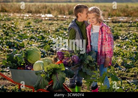 Zwillinge interagieren mit einer Schubkarre mit frischem Gemüse auf einem Feld. Stockfoto