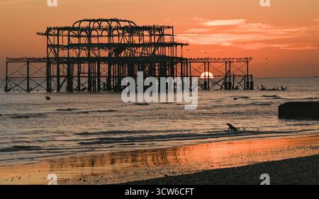 Brighton UK 9. Oktober 2025 - Ein Hund läuft gerne durch die Wellen wie bei einem wunderschönen Sonnenuntergang über Brighton Beach und dem West Pier nach einem weiteren warmen Tag entlang der Südküste : Credit Simon Dack / Alamy Live News Stockfoto