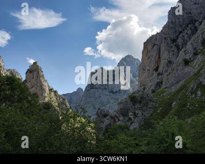 Cares Gorge Felsengipfel Picos Europa - dramatische Picos de Europa Kalksteingipfel, die sich über grüner Vegetation in einer Schlucht erheben und die Sonne durchbricht cl Stockfoto