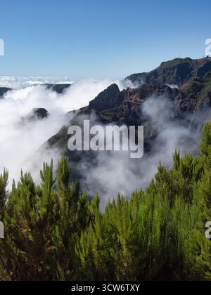 Bergblick über Wolken auf Madeira - atemberaubende Aussicht über die Wolken von einem Höhenweg auf Madeira. Zerklüftete vulkanische Gipfel ragen aus dem Meer hervor Stockfoto