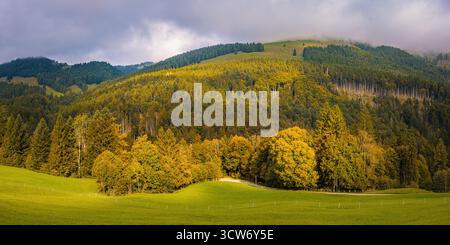 Panoramaaufnahme der Region Appenzell in der Schweiz, aufgenommen im Frühherbst. Sanfte Hügel, verstreute Farmen und sanftes Braun und los Stockfoto