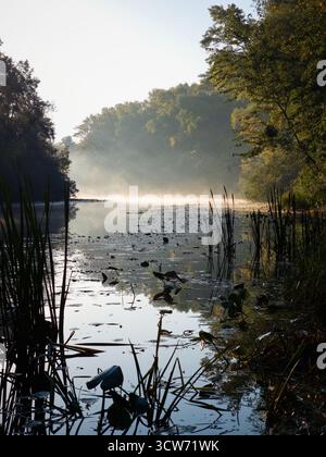 Neblige, atmosphärische Flusslandschaft bei Sonnenaufgang. Dunkle Silhouetten von Schilf und Seerosen im Vordergrund. Dicker Nebel erhebt sich über das stille Wasser. Stockfoto