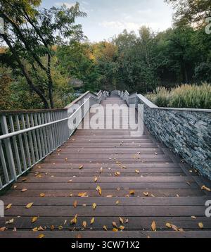 Holztreppe im Park, bedeckt mit heruntergefallenen Blättern. Schwindender perspektivischer Blick auf die Treppe von Wozdvyzhenka zur Peizazhna-Allee in Kiew. Stockfoto
