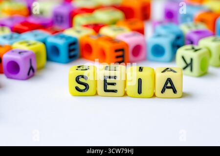 SEIA-Text über mehrfarbigen Würfel, der die Sozial- und Umweltverträglichkeitsprüfung darstellt. Erhaltungskonzept Stockfoto
