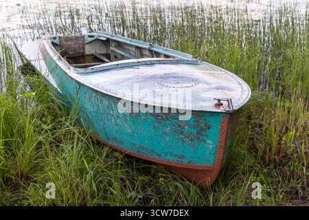 Ein altes grünes Boot liegt in hohen Gräsern und Schilf neben einem ruhigen See Stockfoto