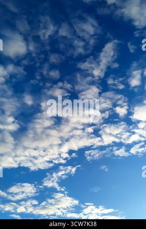 Der Hintergrund ist ein hellblauer Himmel voller weicher, flauschiger weißer Cumulus-Wolken, die im ganzen Raum verstreut sind. Helle Farben und sanfte Wolken, Kumpel Stockfoto