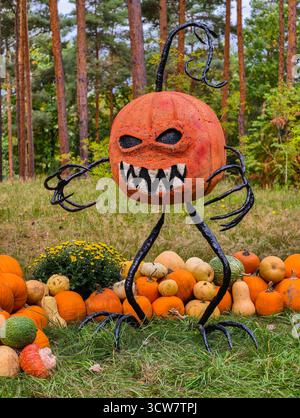 Halloween-Kürbis-Dekoration mit Herbstkürbis- und Kürbissorten in festlicher Anordnung für Herbstfeier. Stockfoto
