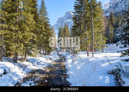 Bergbach, der an einem sonnigen Wintertag durch eine majestätische schneebedeckte Berglandschaft in den Dolomiten fließt Stockfoto