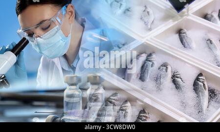Analyse der Lebensmittelqualität. Laborarbeiter mit Mikroskop, doppelte Exposition mit gezeigten Fischen Stockfoto