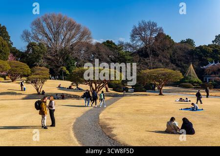 Besucher, die an einem klaren Tag in Japan auf dem Rasen eines großen öffentlichen Parks spazieren und entspannen Stockfoto