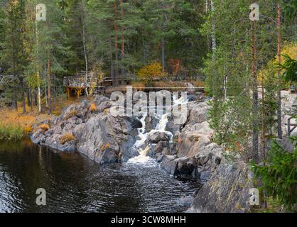 Ein malerischer Blick auf einen kleinen Wasserfall, der über dunkle Felsen in einen Fluss stürzt, umgeben von einem dichten Wald mit herbstlichen Farben Stockfoto