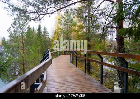 Eine hölzerne Promenade mit Geländern schlängelt sich durch einen dichten Kiefernwald mit Anklängen von gelbem Herbstlaub und einem Blick hinunter zum Wasser Stockfoto