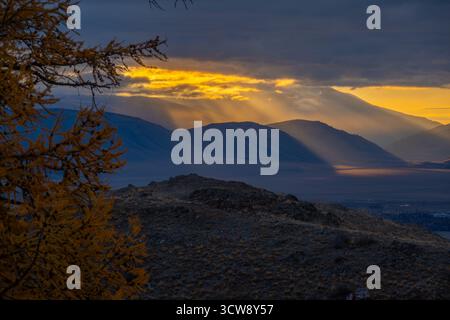 Der goldene Sonnenuntergang über den Bergen wirft warmes Licht auf das Tal mit Silhouetten aus Hügeln und Orangenästen im Vordergrund Stockfoto