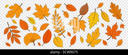 Eine Reihe von Herbstblättern isoliert auf einem transparenten Hintergrund. Hallo Herbst. Stock Vektor