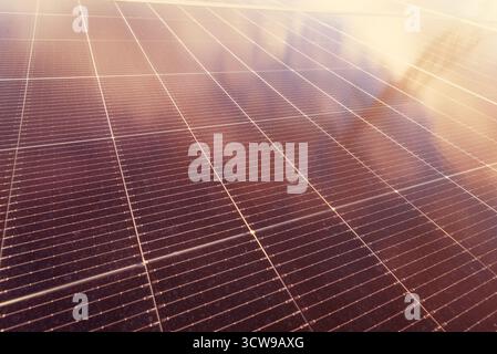Nahaufnahme von Photovoltaik-Solarpaneelen im warmen Abendlicht, das den goldenen Sonnenuntergang reflektiert Stockfoto