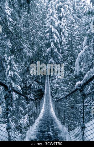 Eine lange Hängebrücke zieht sich durch einen verschneiten Wald. Dicke Bäume sind mit Schnee bedeckt, was eine ruhige Winterlandschaft schafft. Weiches Licht filtert durch Stockfoto