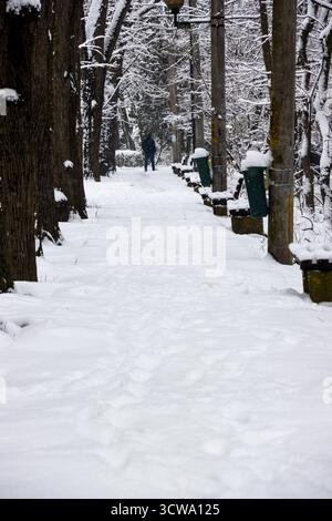 Bänke im Park mit Schnee bedeckt. Wintertag im Park. Stockfoto