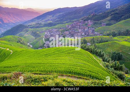 Longji-Reisterrassen auf dem Yaoshan-Berg in Guangxi, China, Sonnenaufgangslicht Stockfoto