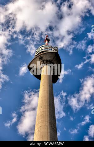 Der Donauturm erhebt sich über Bäumen im Donaupark unter hellem Sommerhimmel. Stockfoto