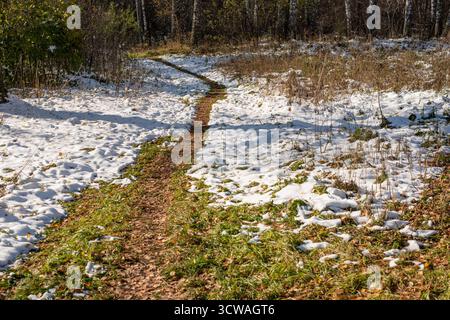 Verschneite Pfade durch die Wälder im frühen Winter. Stockfoto