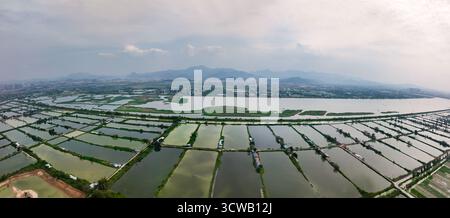 Luftaufnahmen des Tonghu Wetland Park in der Zhongkai Hightech Zone, Huicheng, Huizhou City Stockfoto