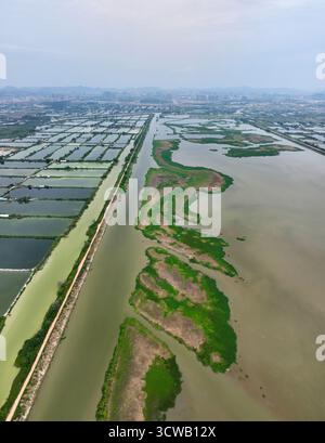 Luftaufnahmen des Tonghu Wetland Park in der Zhongkai Hightech Zone, Huicheng, Huizhou City Stockfoto