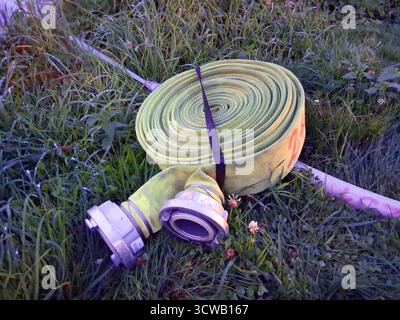 Feuerwehr-Blaulicht Feuerwehr in verschiedenen Bildern und Aktionen in Deutschland Feuerwehr-Blaulicht Feuerwehr in Deutschland *** Feuerwehr Blaulicht Feuerwehr in verschiedenen Bildern und Aktionen in Deutschland Feuerwehr Blaulicht Feuerwehr in Deutschland Stockfoto