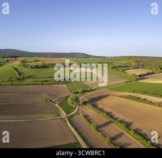 Luftaufnahme der Felder oben, St.Veit, Berndorf, Niederösterreich, Österreich Stockfoto