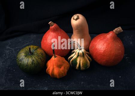 Verschiedene Kürbisse auf schwarzem Hintergrund. Thanksgiving, Halloween-Konzept. Nahaufnahme. Stockfoto