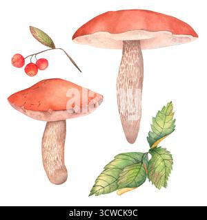 Pilze Beeren Blätter Stockfoto