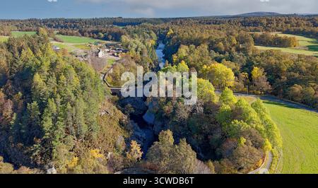 Dulsie Bridge und River Findhorn Nairn Scotland die Schlucht und die lebhaften gelben Espenbäume Populus im Herbst Stockfoto