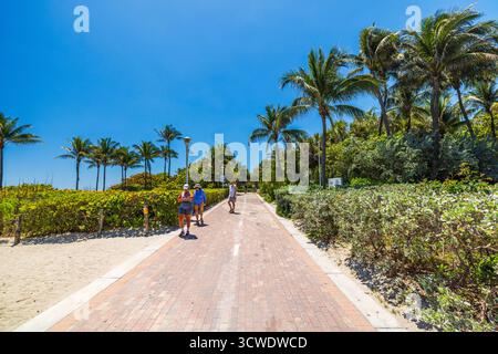 Menschen, die entlang des Ocean Drive am Atlantischen Ozean mit Palmen vor blauem Himmel spazieren. Miami Beach. USA. Stockfoto
