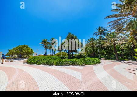 Palmen und grüne Büsche entlang des Ocean Drive neben dem Atlantischen Ozean vor dem Hintergrund des klaren blauen Himmels. Miami Beach. USA. Stockfoto