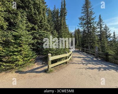 Kiesweg und rustikaler Holzzaun umgeben von hohen immergrünen Bäumen. Stockfoto