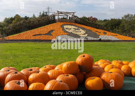 Oktober 2025. Sunnyfields Farm Shop in der Nähe von Totton, Southampton, Hampshire, England, Großbritannien. Die beliebte Kürbis-Zeit-Veranstaltung findet in Kürze statt. Das jährliche Herbstfestival umfasst fantastische Ausstellungen von Kürbissen, darunter ein großes Kürbismosaik von Ozzy Osbourne zu Ehren des Rockstars, der im Juli 2025 starb. Stockfoto