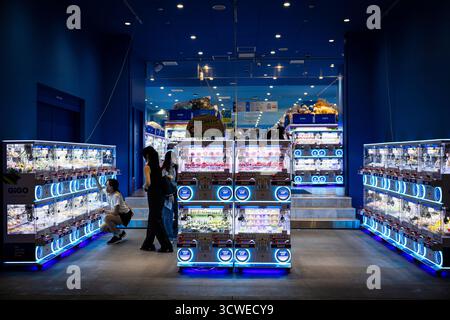 Osaka, Japan - 21. Juli 2025 : Klauenmaschinen Stockfoto