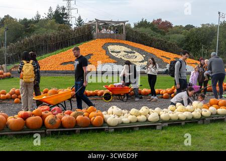 Oktober 2025. Sunnyfields Farm Shop in der Nähe von Totton, Southampton, Hampshire, England, Großbritannien. Die beliebte Kürbis-Zeit-Veranstaltung findet in Kürze statt. Das jährliche Herbstfestival umfasst fantastische Ausstellungen von Kürbissen, darunter ein großes Kürbismosaik von Ozzy Osbourne zu Ehren des Rockstars, der im Juli 2025 starb. Stockfoto