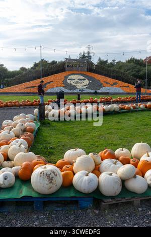 Oktober 2025. Sunnyfields Farm Shop in der Nähe von Totton, Southampton, Hampshire, England, Großbritannien. Die beliebte Kürbis-Zeit-Veranstaltung findet in Kürze statt. Das jährliche Herbstfestival umfasst fantastische Ausstellungen von Kürbissen, darunter ein großes Kürbismosaik von Ozzy Osbourne zu Ehren des Rockstars, der im Juli 2025 starb. Stockfoto