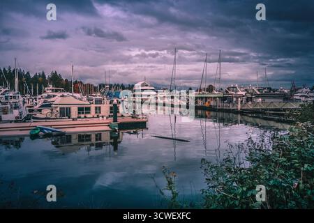 Die Boote legen in einem Yachthafen unter bewölktem Himmel an, mit Reflexen im ruhigen Wasser. Bäume und Grün Grenzen die Gegend. Stockfoto