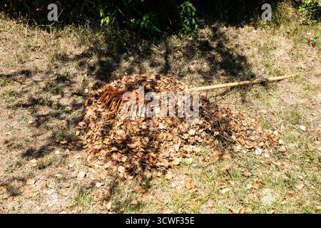Orangefarbener Kunststoffrechen, der während der Gartenreinigung auf einem großen Stapel brauner Herbstblätter ruht Stockfoto