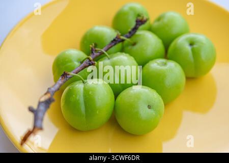 Frische reife grüne Pflaumen auf gelber Platte mit Zweig auf isolierter weißer Hintergrundfläche Stockfoto