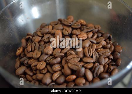 Frisch geröstete Kaffeebohnen in einem Mahlgutbehälter Stockfoto