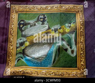 Spaziergang über Norristown/Plymouth Meeting, Pennsylvania Stockfoto