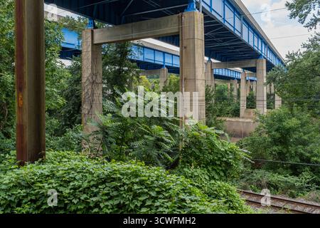 Spaziergang über Norristown/Plymouth Meeting, Pennsylvania Stockfoto