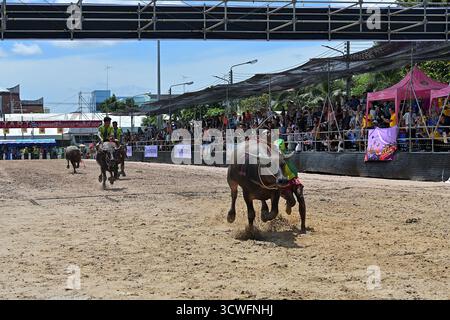 Jockey steigt von seinem Wasserbüffel ab, während er beim 154. Buffalo Racing Festival in Chonburi, Thailand über die Ziellinie galoppiert Stockfoto