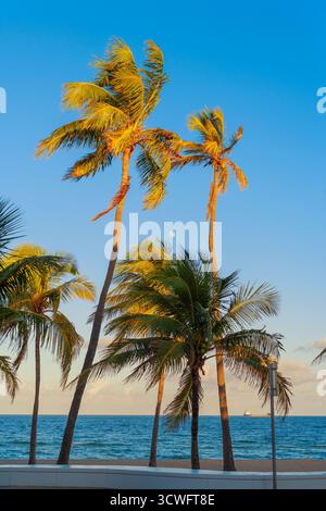 Fort Lauderdale Beach, Fort Lauderdale, Broward County, Florida, USA Stockfoto