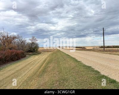 Ruhige Schotterstraße, die sich durch eine ländliche Prärielandschaft erstreckt, flankiert von grasbewachsenen Feldern und Büschen unter einem riesigen, bewölkten Himmel. Stockfoto