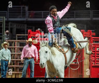 Philadelphia, Pennsylvania, USA. Oktober 2025. Bareback-Reiter, in Aktion während des 8 Sekunden Rodeo-Philadelphia, das im Liacouras Center der Temple University in Philadelphia PA stattfand (Credit Image: © Ricky Fitchett/ZUMA Press Wire) NUR REDAKTIONELLE VERWENDUNG! Nicht für kommerzielle ZWECKE! Stockfoto